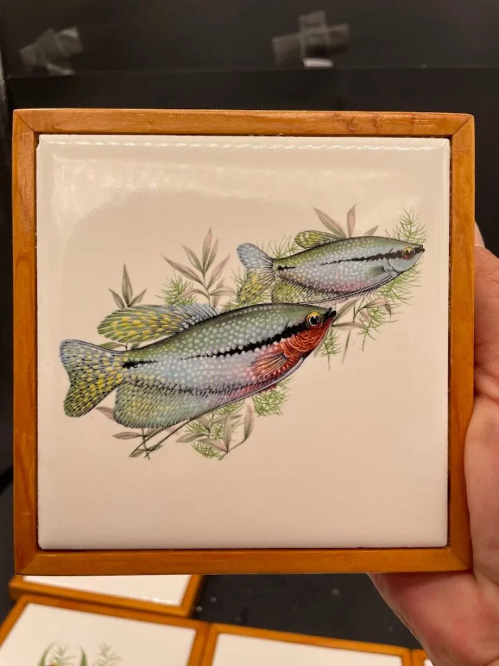 Set Of 6 Ceramic Tiles Wood Frame Tropical Fish Decals Coasters Trivets Aquatic